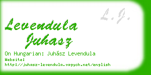 levendula juhasz business card